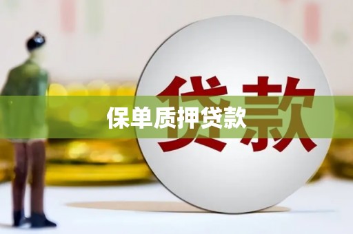 秀林保单质押贷款
