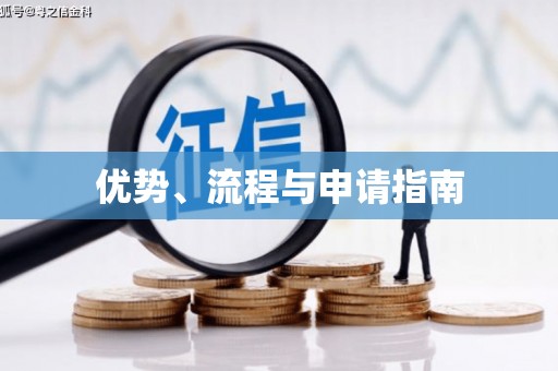 秀林优势、流程与申请指南