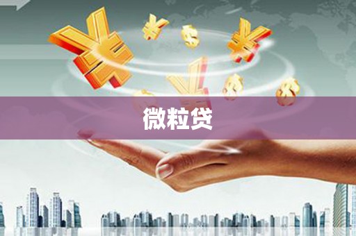 秀林微粒贷