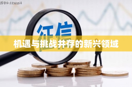 秀林机遇与挑战并存的新兴领域