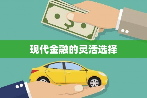 秀林现代金融的灵活选择