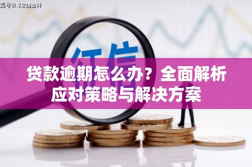 秀林贷款逾期怎么办？全面解析应对策略与解决方案