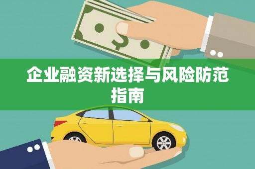 秀林企业融资新选择与风险防范指南