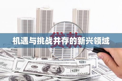 秀林机遇与挑战并存的新兴领域