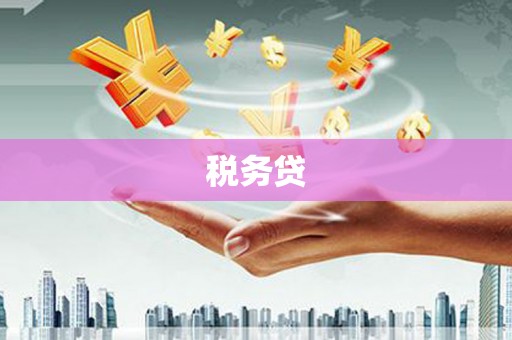 秀林税务贷