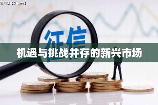 秀林机遇与挑战并存的新兴市场