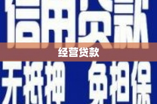 秀林经营贷款