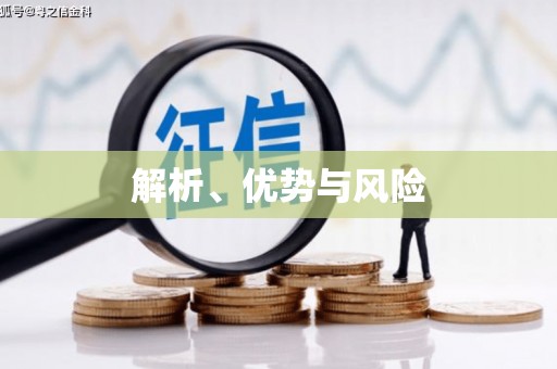 秀林解析、优势与风险