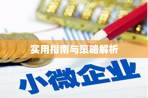 秀林实用指南与策略解析