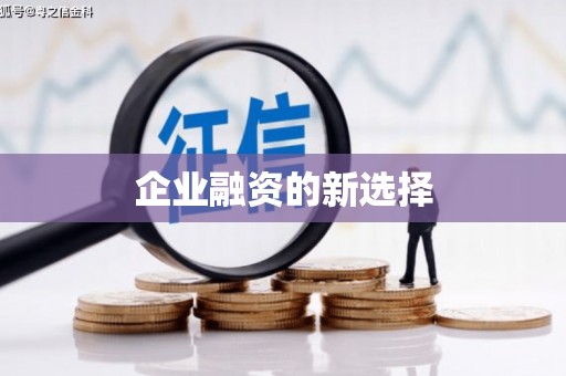 秀林企业融资的新选择