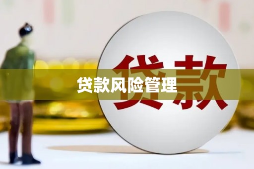 秀林贷款风险管理