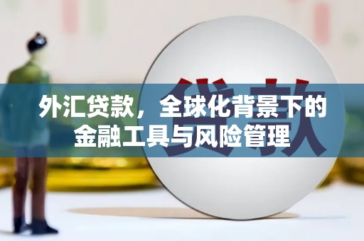 秀林外汇贷款，全球化背景下的金融工具与风险管理
