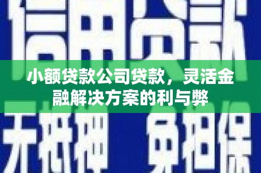 秀林小额贷款公司贷款，灵活金融解决方案的利与弊