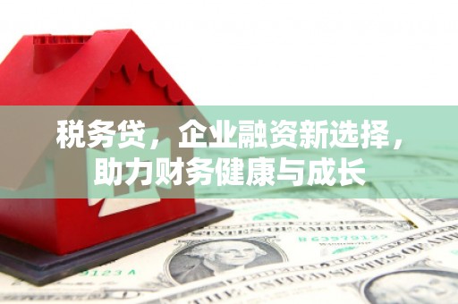 秀林税务贷，企业融资新选择，助力财务健康与成长